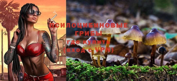 эйфоретик Арсеньев