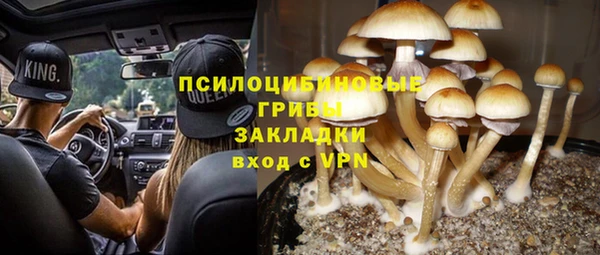эйфоретик Арсеньев