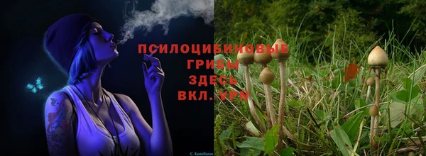 кокаин премиум Аркадак