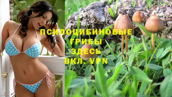кокаин премиум Аркадак