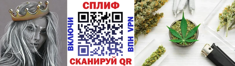 даркнет сайт  Буйнакск  Бошки марихуана планчик 